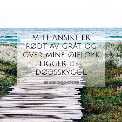 Picture 07 - Job 16:16 NORSK - mitt ansikt er rødt av gråt, og over mine - Bible Verse Picture