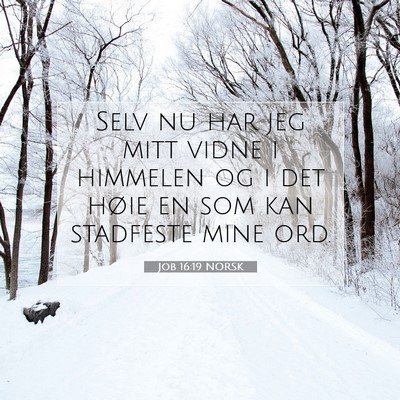 Picture 07 - Job 16:19 NORSK - Selv nu har jeg mitt vidne i himmelen og i det - Bible Verse Picture