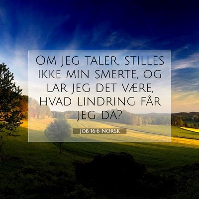 Picture 07 - Job 16:6 NORSK - Om jeg taler, stilles ikke min smerte, og lar jeg - Bible Verse Picture