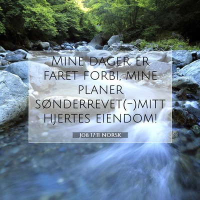 Picture 07 - Job 17:11 NORSK - Mine dager er faret forbi, mine planer - Bible Verse Picture