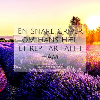 Picture 07 - Job 18:9 NORSK - En snare griper om hans hæl, et rep tar fatt i - Bible Verse Picture