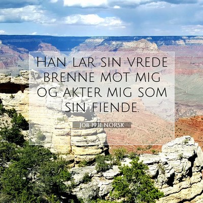 Picture 07 - Job 19:11 NORSK - Han lar sin vrede brenne mot mig og akter mig som - Bible Verse Picture