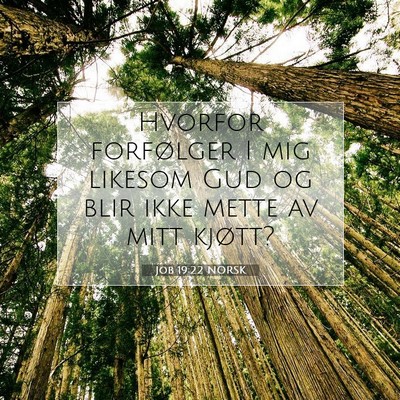 Picture 07 - Job 19:22 NORSK - Hvorfor forfølger I mig likesom Gud og blir ikke - Bible Verse Picture