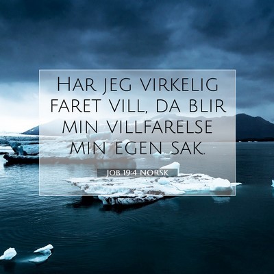 Picture 07 - Job 19:4 NORSK - Har jeg virkelig faret vill, da blir min - Bible Verse Picture