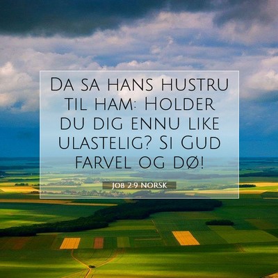 Picture 07 - Job 2:9 NORSK - Da sa hans hustru til ham: Holder du dig ennu - Bible Verse Picture