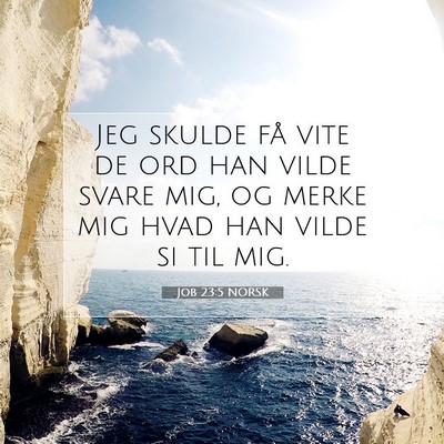 Picture 07 - Job 23:5 NORSK - Jeg skulde få vite de ord han vilde svare mig, - Bible Verse Picture