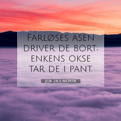 Picture 07 - Job 24:3 NORSK - Farløses asen driver de bort; enkens okse tar de - Bible Verse Picture