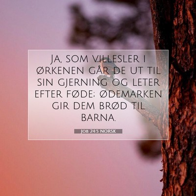 Picture 07 - Job 24:5 NORSK - Ja, som villesler i ørkenen går de ut til sin - Bible Verse Picture