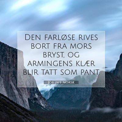 Picture 07 - Job 24:9 NORSK - Den farløse rives bort fra mors bryst, og - Bible Verse Picture
