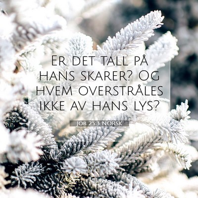 Picture 07 - Job 25:3 NORSK - Er det tall på hans skarer? Og hvem overstråles - Bible Verse Picture