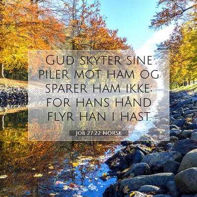 Picture 07 - Job 27:22 NORSK - Gud skyter sine piler mot ham og sparer ham ikke; - Bible Verse Picture
