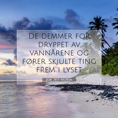 Picture 07 - Job 28:11 NORSK - De demmer for dryppet av vannårene og fører - Bible Verse Picture