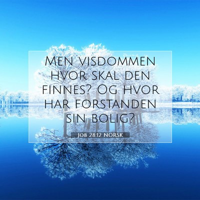 Picture 07 - Job 28:12 NORSK - Men visdommen hvor skal den finnes? Og hvor har - Bible Verse Picture