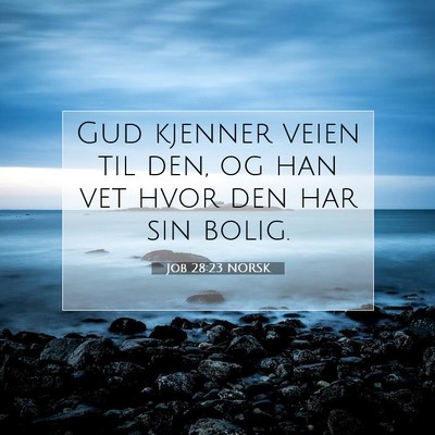 Picture 07 - Job 28:23 NORSK - Gud kjenner veien til den, og han vet hvor den - Bible Verse Picture