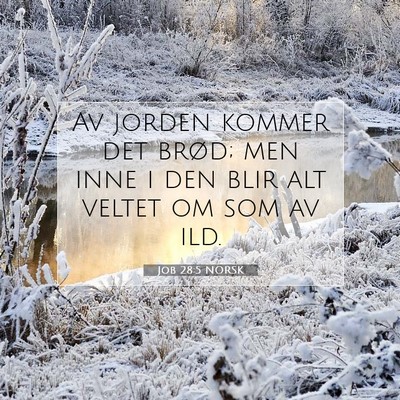 Picture 07 - Job 28:5 NORSK - Av jorden kommer det brød; men inne i den blir - Bible Verse Picture