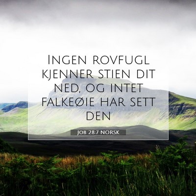 Picture 07 - Job 28:7 NORSK - Ingen rovfugl kjenner stien dit ned, og intet - Bible Verse Picture