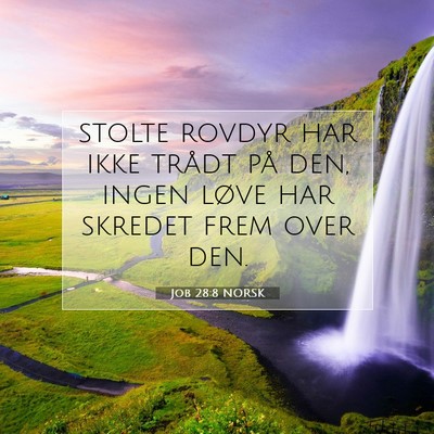 Picture 07 - Job 28:8 NORSK - stolte rovdyr har ikke trådt på den, ingen - Bible Verse Picture
