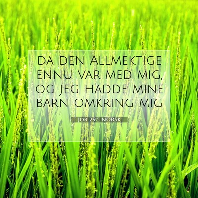 Picture 07 - Job 29:5 NORSK - da den Allmektige ennu var med mig, og jeg hadde - Bible Verse Picture