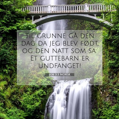 Picture 07 - Job 3:3 NORSK - Til grunne gå den dag da jeg blev født, og den - Bible Verse Picture
