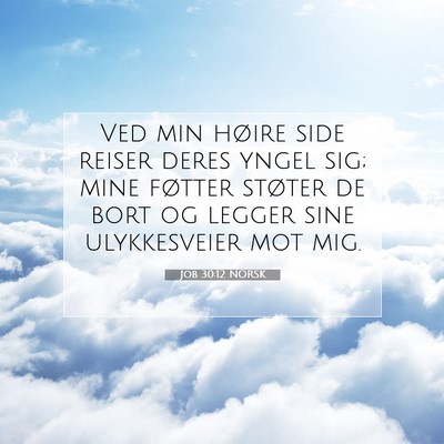 Picture 07 - Job 30:12 NORSK - Ved min høire side reiser deres yngel sig; mine - Bible Verse Picture