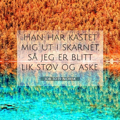 Picture 07 - Job 30:19 NORSK - Han har kastet mig ut i skarnet, så jeg er blitt - Bible Verse Picture