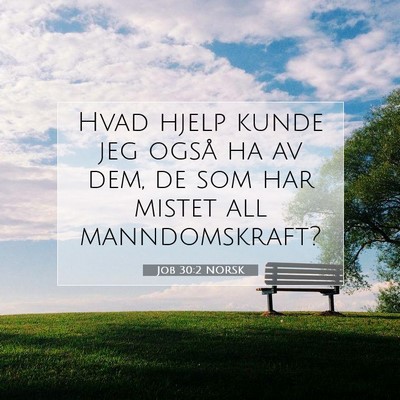 Picture 07 - Job 30:2 NORSK - Hvad hjelp kunde jeg også ha av dem, de som har - Bible Verse Picture