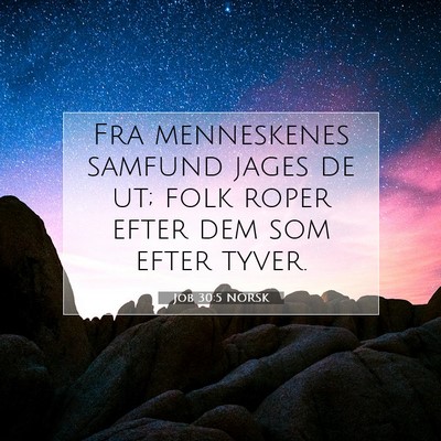Picture 07 - Job 30:5 NORSK - Fra menneskenes samfund jages de ut; folk roper - Bible Verse Picture