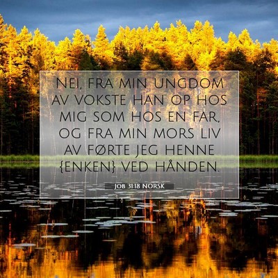 Picture 07 - Job 31:18 NORSK - Nei, fra min ungdom av vokste han op hos mig som - Bible Verse Picture