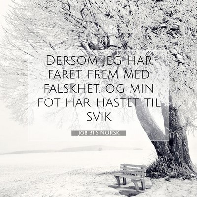 Picture 07 - Job 31:5 NORSK - Dersom jeg har faret frem med falskhet, og min - Bible Verse Picture