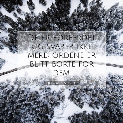 Picture 07 - Job 32:15 NORSK - De er forferdet og svarer ikke mere; ordene er - Bible Verse Picture