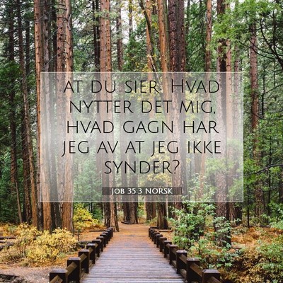 Picture 07 - Job 35:3 NORSK - at du sier: Hvad nytter det mig, hvad gagn har - Bible Verse Picture
