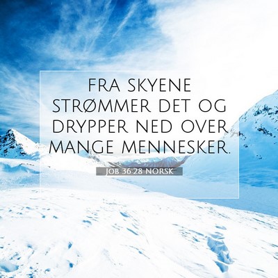 Picture 07 - Job 36:28 NORSK - fra skyene strømmer det og drypper ned over - Bible Verse Picture