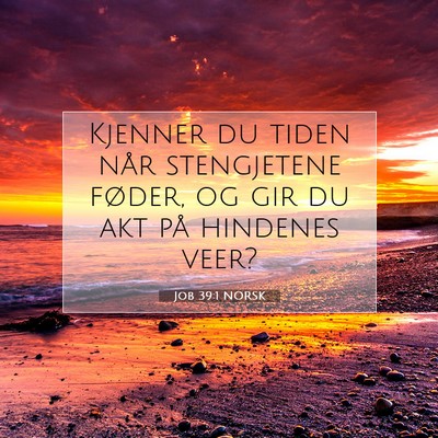 Picture 07 - Job 39:1 NORSK - Kjenner du tiden når stengjetene føder, og gir - Bible Verse Picture