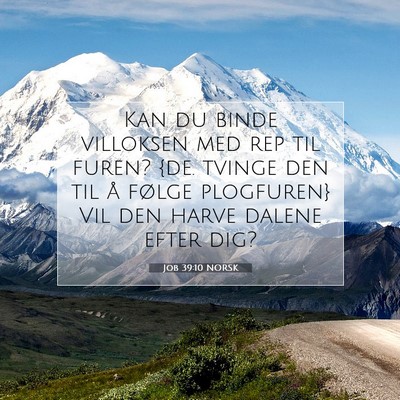 Picture 07 - Job 39:10 NORSK - Kan du binde villoksen med rep til furen? {de. - Bible Verse Picture