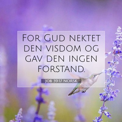 Picture 07 - Job 39:17 NORSK - For Gud nektet den visdom og gav den ingen - Bible Verse Picture