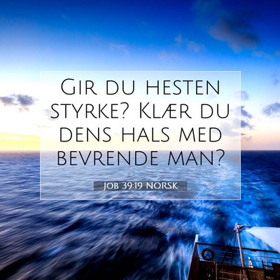 Picture 07 - Job 39:19 NORSK - Gir du hesten styrke? Klær du dens hals med - Bible Verse Picture