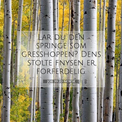 Picture 07 - Job 39:20 NORSK - Lar du den springe som gresshoppen? Dens stolte - Bible Verse Picture