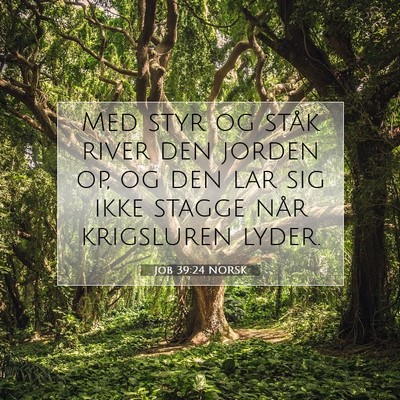 Picture 07 - Job 39:24 NORSK - Med styr og ståk river den jorden op, og den lar - Bible Verse Picture