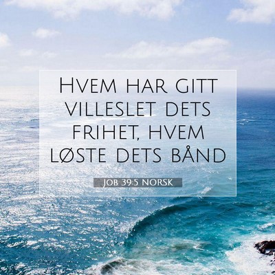 Picture 07 - Job 39:5 NORSK - Hvem har gitt villeslet dets frihet, hvem løste - Bible Verse Picture