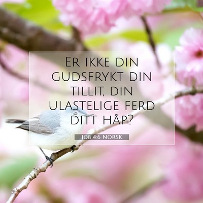 Picture 07 - Job 4:6 NORSK - Er ikke din gudsfrykt din tillit, din ulastelige - Bible Verse Picture