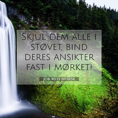 Picture 07 - Job 40:13 NORSK - Skjul dem alle i støvet, bind deres ansikter - Bible Verse Picture