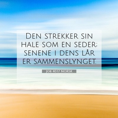 Picture 07 - Job 40:17 NORSK - Den strekker sin hale som en seder; senene i dens - Bible Verse Picture