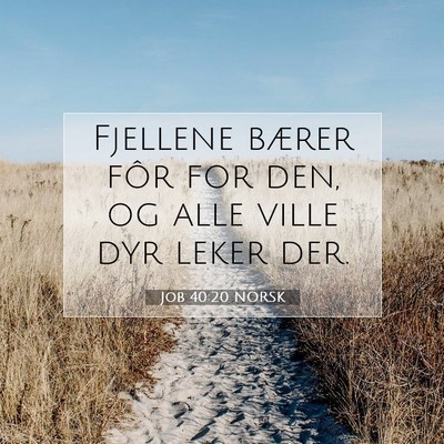Picture 07 - Job 40:20 NORSK - Fjellene bærer fôr for den, og alle ville dyr - Bible Verse Picture