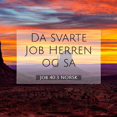 Picture 07 - Job 40:3 NORSK - Da svarte Job Herren og - Bible Verse Picture