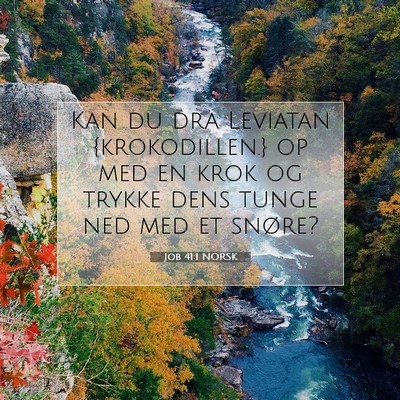 Picture 07 - Job 41:1 NORSK - Kan du dra Leviatan {krokodillen.} op med en krok - Bible Verse Picture