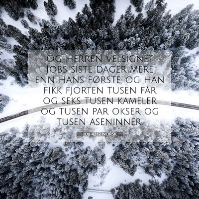 Picture 07 - Job 42:12 NORSK - Og Herren velsignet Jobs siste dager mere enn - Bible Verse Picture