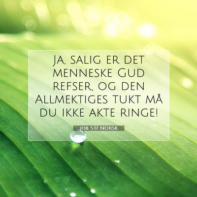 Picture 07 - Job 5:17 NORSK - Ja, salig er det menneske Gud refser, og den - Bible Verse Picture