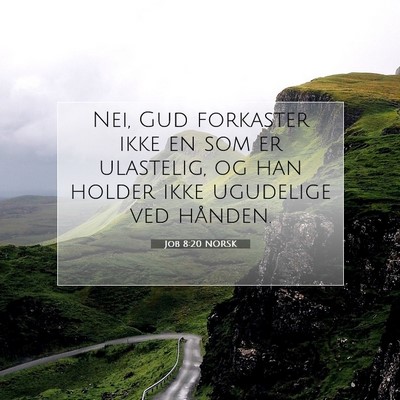 Picture 07 - Job 8:20 NORSK - Nei, Gud forkaster ikke en som er ulastelig, og - Bible Verse Picture