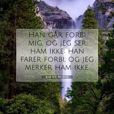 Picture 07 - Job 9:11 NORSK - Han går forbi mig, og jeg ser ham ikke; han - Bible Verse Picture