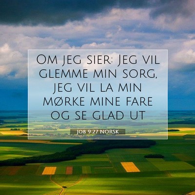 Picture 07 - Job 9:27 NORSK - Om jeg sier: Jeg vil glemme min sorg, jeg vil la - Bible Verse Picture